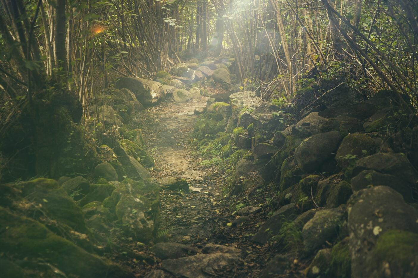 Bald geht es ab in den Wald - und in den Kontakt