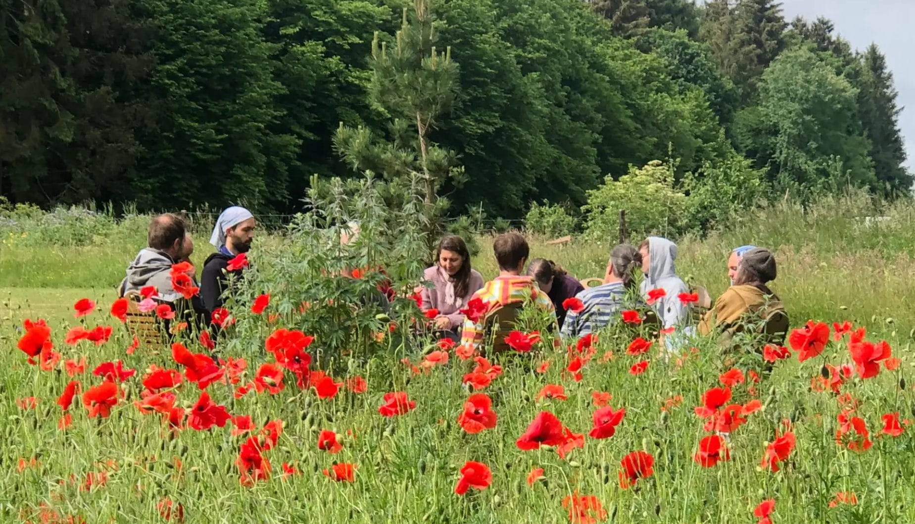 Über das Verschwinden des Gemeinschaften-Festivals