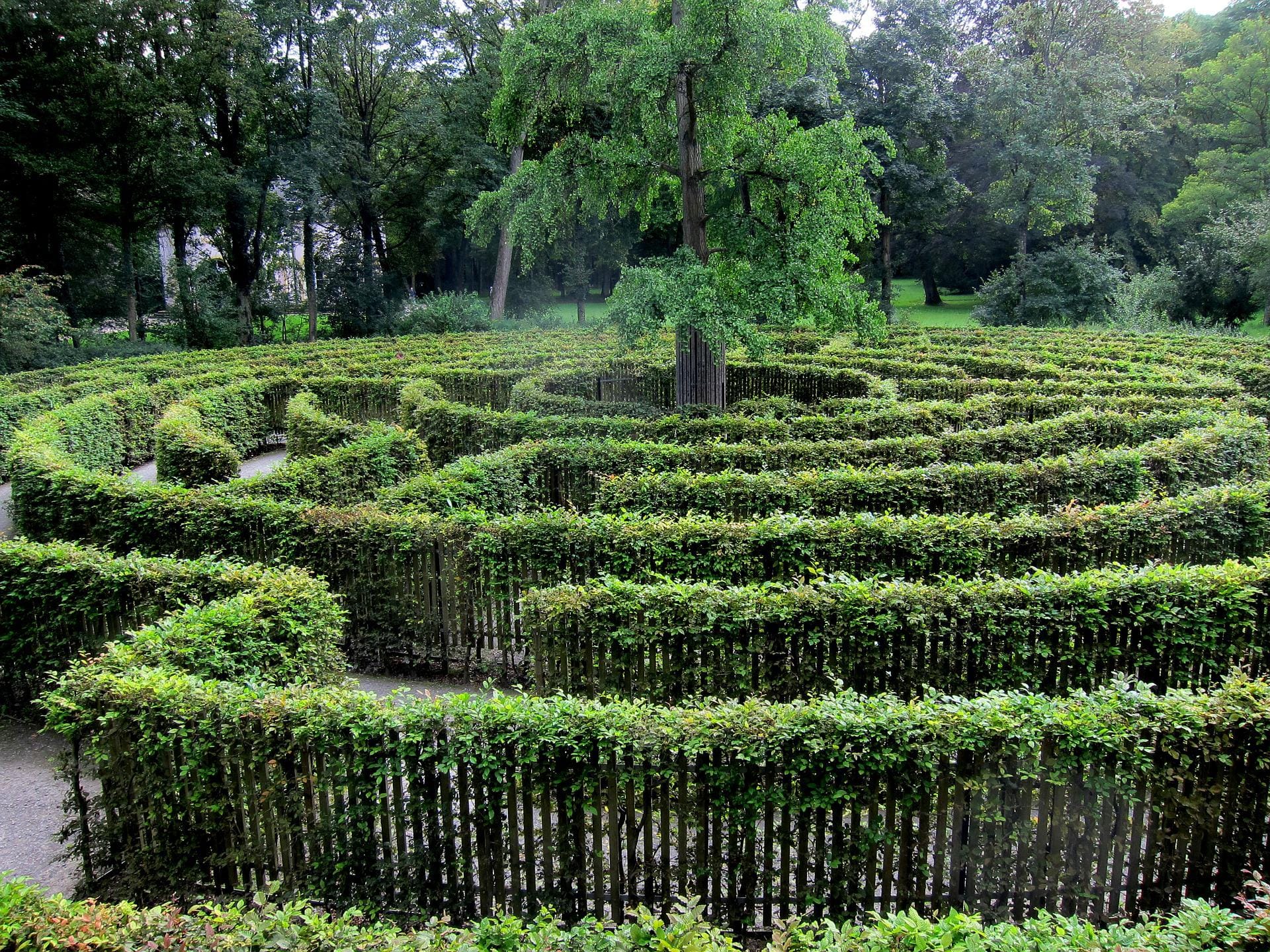 Ein Gartenlabyrinth aus einer Hecke mit Baum im Zentrum.