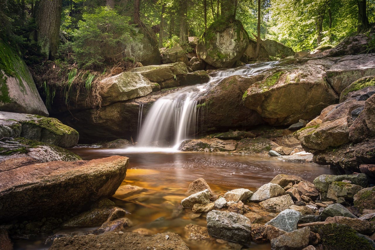 Bach im Wald mit kleinem Wasserfall