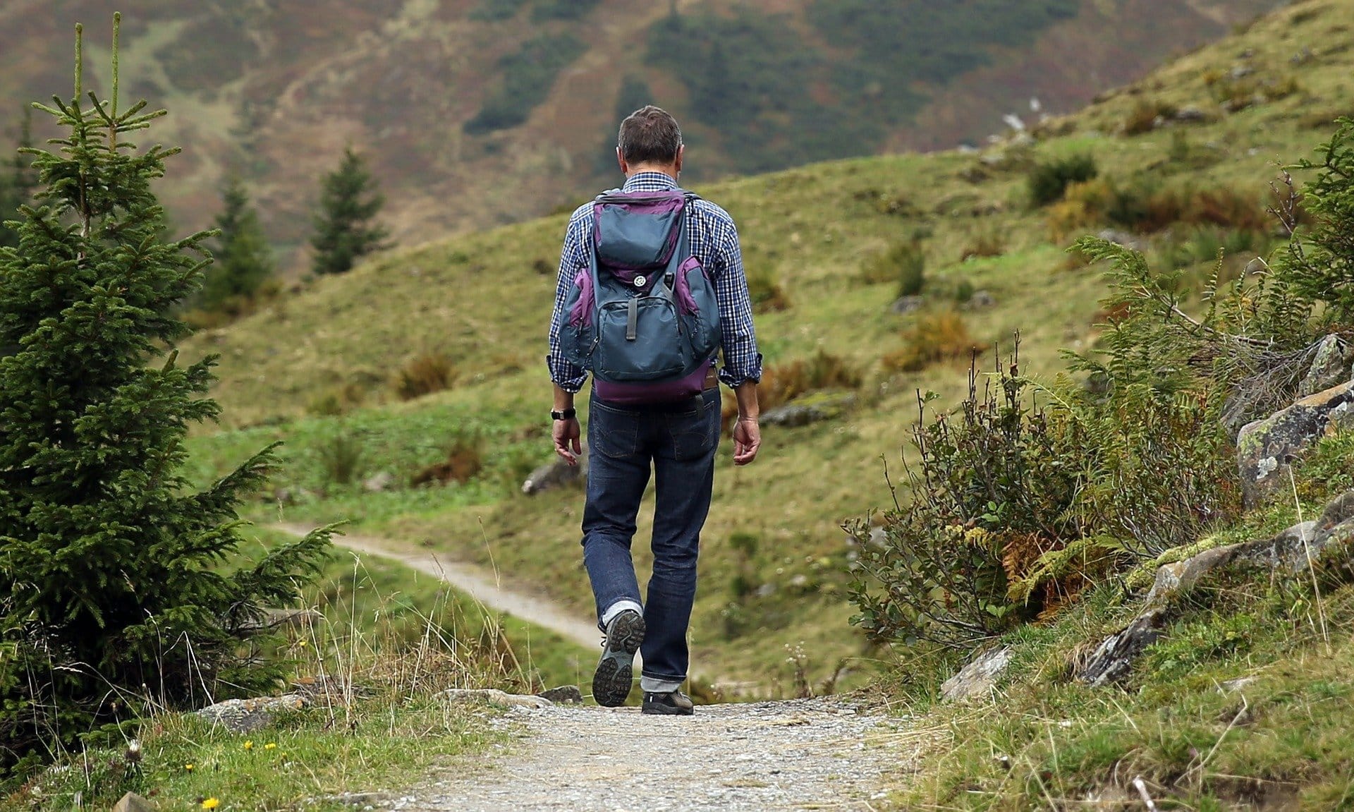 Wanderer in der Natur