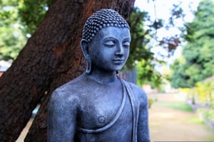 Fortgeschrittene Meditation für Anfänger - Anleitung für einen 21-Tage-Solo-Retreat