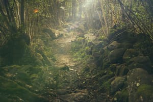 Bald geht es ab in den Wald - und in den Kontakt