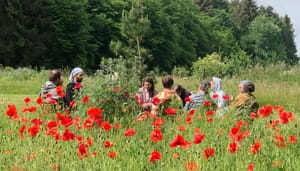 Über das Verschwinden des Gemeinschaften-Festivals