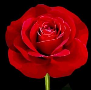 Got Soul - Der Weg der Rose S1E1