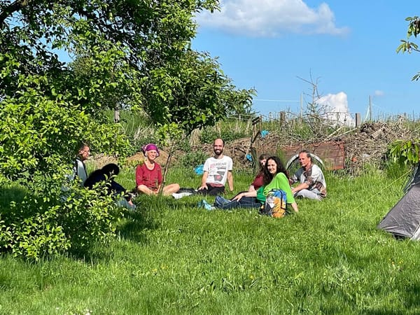 💚🌻 Herzen öffnen und verbinden im Mai/Juni